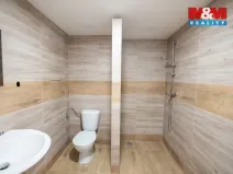 Pronájem bytu 1+1, Hradec Králové - Pražské Předměstí, Vocelova, 36 m2