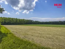 Prodej lesa, Bohuslavice, 11971 m2