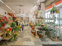 Prodej komerční nemovitosti, Orlová, Osvobození, 62 m2