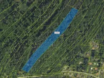 Dražba lesa, Stříbrná Skalice, 10096 m2