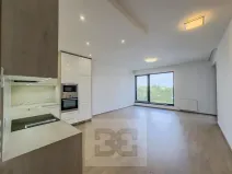 Pronájem bytu 2+kk, Praha - Holešovice, Sanderova, 59 m2