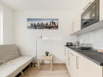 Pronájem bytu 1+kk, Praha - Radlice, Peroutkova, 18 m2