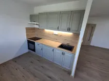 Pronájem bytu 1+kk, Most, Javorová, 35 m2