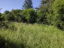 Prodej pozemku, Černovice - Panské Mlýny, 4180 m2
