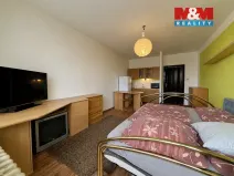 Prodej bytu 1+kk, Ostrava - Poruba, Francouzská, 30 m2