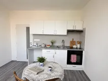 Pronájem bytu 1+1, Litvínov, U Bílého sloupu, 40 m2