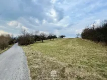 Prodej louky, Cetkovice, 5478 m2