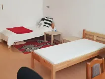Pronájem bytu 1+1, Brno, Ptašínského, 40 m2