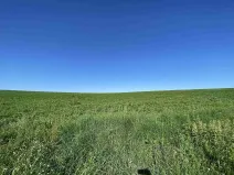 Prodej pole, Křešín, 6536 m2