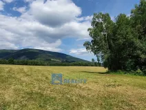 Prodej pozemku, Černý Důl - Čistá v Krkonoších, 4617 m2
