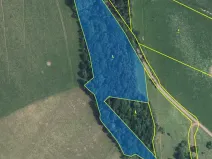 Prodej lesa, Meziměstí, 17422 m2
