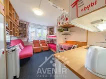 Prodej bytu 1+kk, Velké Hamry, 19 m2