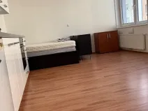 Pronájem bytu 1+kk, Praha - Nusle, Bartoškova, 36 m2