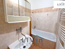 Pronájem bytu 1+1, Olomouc, Krakovská, 46 m2