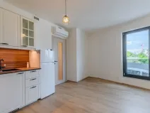 Pronájem bytu 1+kk, Praha - Žižkov, Malešická, 39 m2