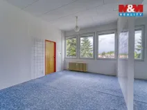 Pronájem obchodního prostoru, Nepomuk, Na Vinici III., 39 m2
