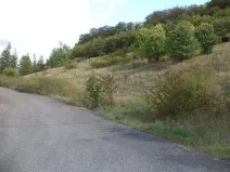 Dražba louky, Řehlovice, 3418 m2