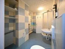 Prodej bytu 3+1, Františkovy Lázně, Francouzská, 95 m2