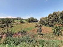 Prodej louky, Oslavička, 5986 m2
