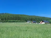 Prodej pozemku pro bydlení, Červená Voda, 1251 m2