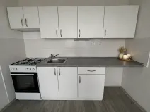 Pronájem bytu 3+1, Litvínov, Valdštejnská, 70 m2