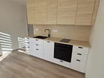 Pronájem bytu 1+1, Brno, Záhřebská, 36 m2