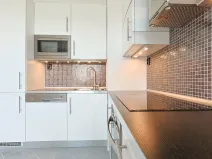 Pronájem bytu 3+kk, Brno, Jánošíkova, 76 m2