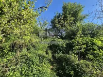 Prodej zahrady, Šlapanice, 257 m2