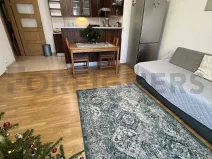 Pronájem pokoje, Praha - Žižkov, Lukášova, 16 m2