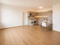 Pronájem bytu 2+kk, Praha - Vinohrady, Hollarovo náměstí, 52 m2