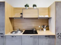 Pronájem bytu 1+1, Praha - Dejvice, Pod kaštany, 37 m2