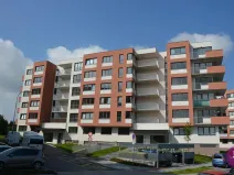 Pronájem garážového stání, Olomouc, Aloise Rašína, 13 m2