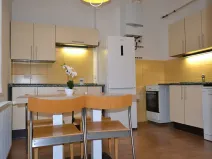 Pronájem bytu 2+1, Karlovy Vary, Nebozízek, 61 m2