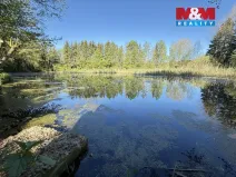 Prodej rybníku, Rychnov nad Kněžnou - Lipovka, 5963 m2