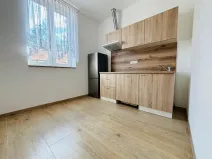 Pronájem bytu 1+1, Praha - Košíře, Holečkova, 35 m2