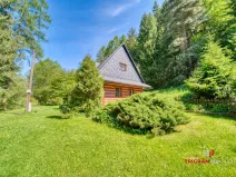 Prodej chaty, Letohrad - Červená, 120 m2