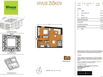 Prodej bytu 2+kk, Praha - Žižkov, Kaplířova, 61 m2