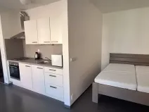 Pronájem bytu 1+kk, Brno, Stará, 44 m2