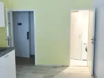 Pronájem bytu 1+1, Praha, V předpolí, 43 m2