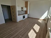 Pronájem bytu 2+kk, Mlékojedy, 50 m2