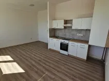Pronájem bytu 2+kk, Mlékojedy, 50 m2