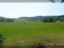 Prodej louky, Cehnice, 71196 m2
