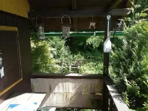 Prodej zahrady, Velké Hamry, 254 m2