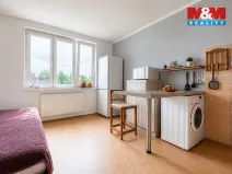 Prodej bytu 1+1, Cheb, Boženy Němcové, 36 m2