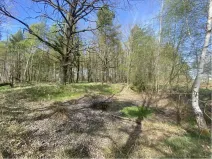 Dražba louky, Hranice, 1061 m2