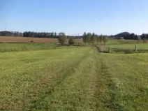 Dražba pozemku, Horní Ves, 3069 m2