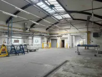 Prodej výrobních prostor, Kraslice, Čs. armády, 17000 m2