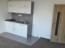 Pronájem bytu 1+kk, Praha - Kamýk, U Kamýku, 32 m2