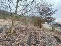Prodej pozemku, Ryjice, 3310 m2