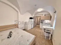 Pronájem bytu 1+kk, Olomouc, 1. máje, 30 m2